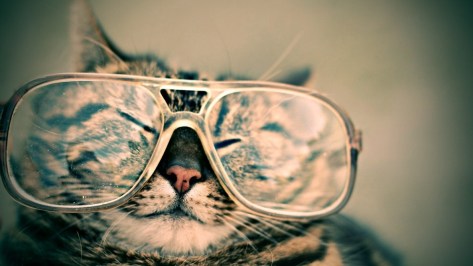 HappyCat in glasses